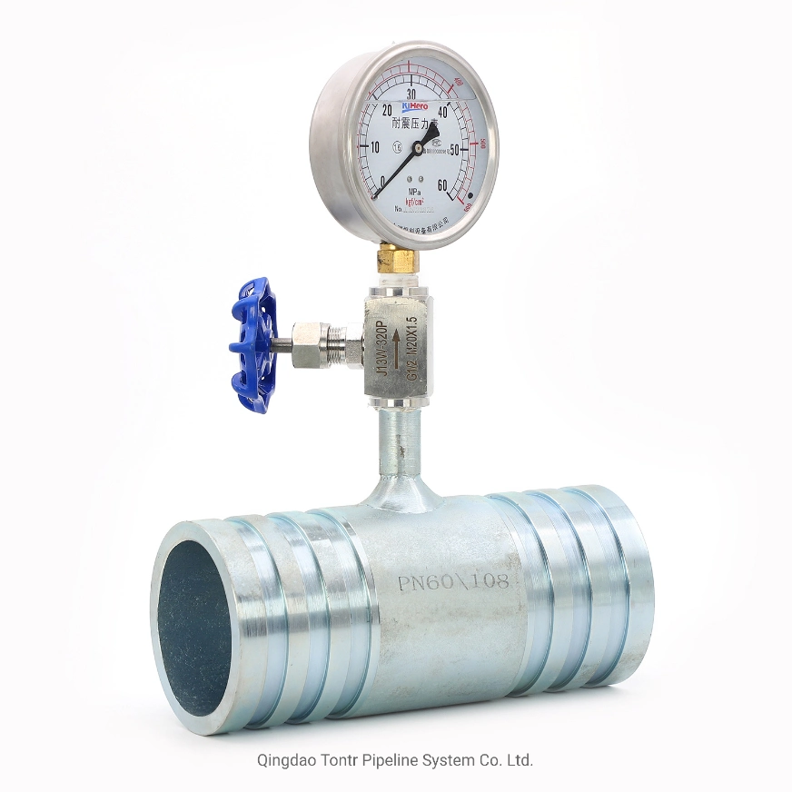 China Manufacture Factory Price Carbon Steel Pipe Fitting Pressure Gauge
